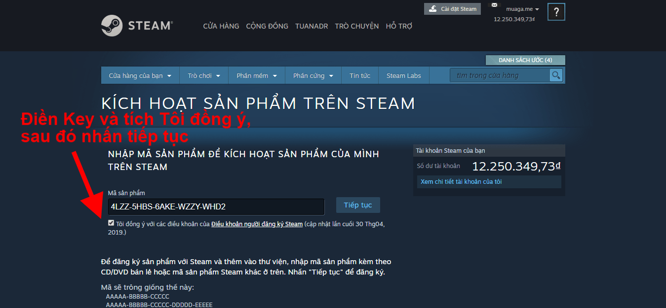 Hướng dẫn nhập Code game Steam (CD Key)
